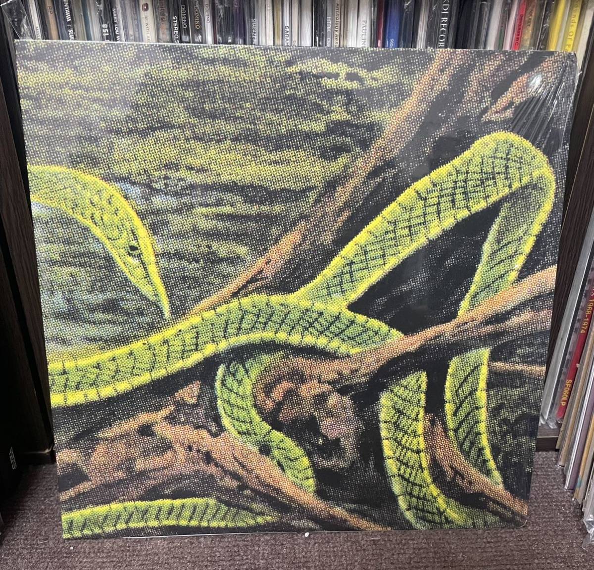 【定番，得価】 LP: Rainforest Spiritual Enslavement Green Graves Hospital Productions 2016 Reissue(その他)｜売買されたオークション情報、yahooの商品情報をアーカイブ公開 - オークファン その他