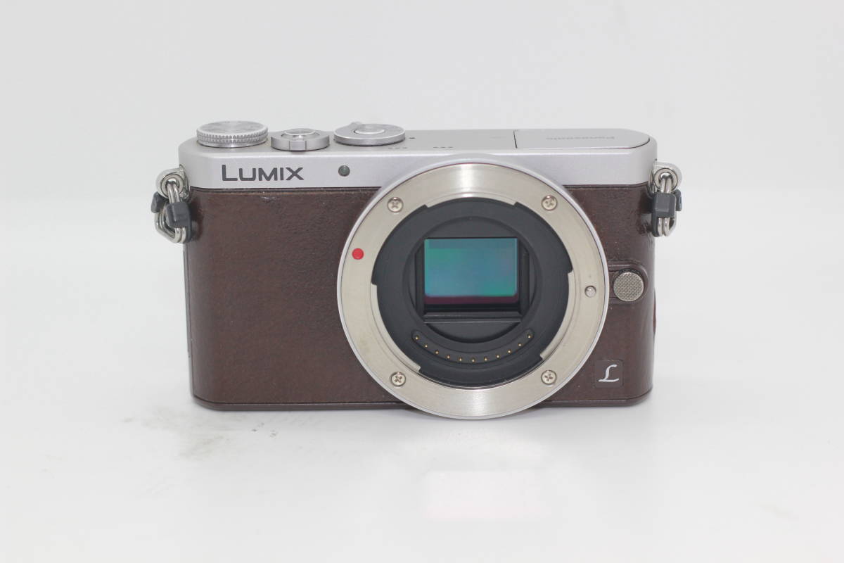 ☆美品☆ PANASONIC パナソニック LUMIX DMC-GM1S ボディ #P019 ☆美品☆ PANASONIC パナソニック LUMIX DMC-GM1S ボディ #P019
