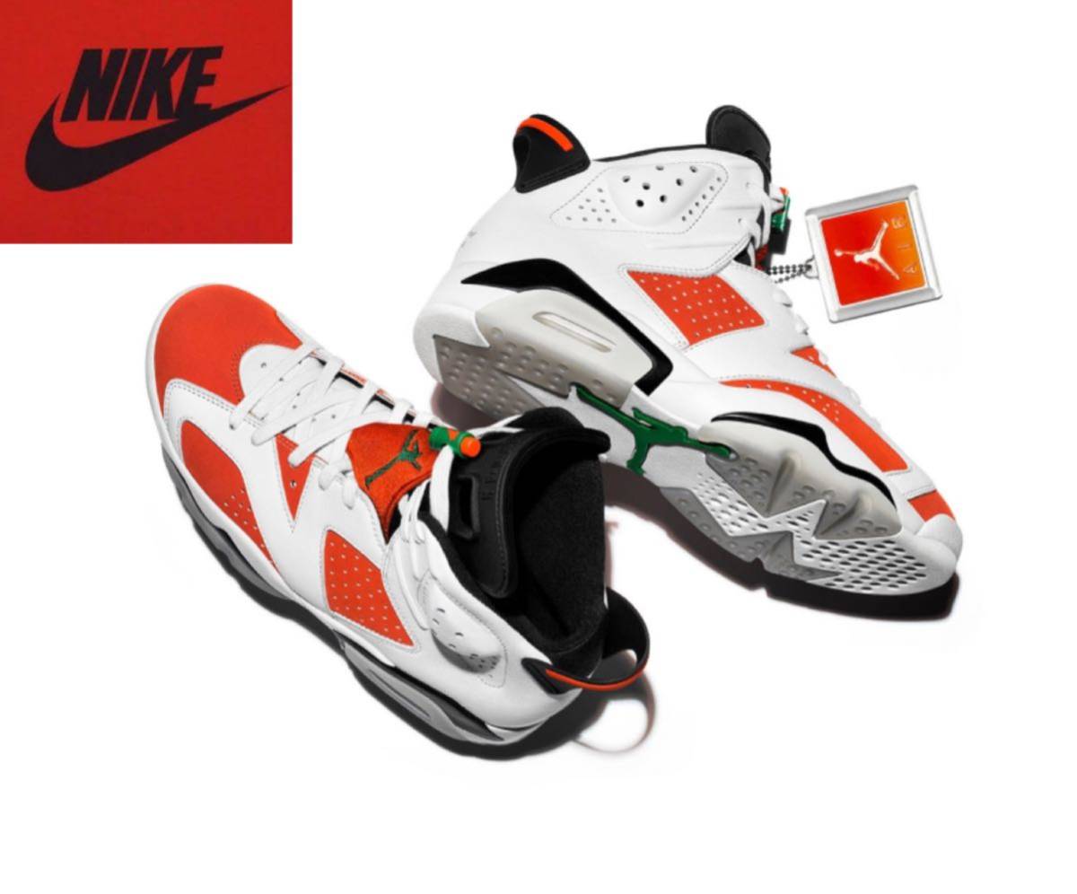 早い者勝ち NIKE ナイキ 28.5㎝ AIR JORDAN6 GATORADE エアジョーダン6 ゲータレード カーマイン US10.5 NBA シカゴ ブルズ Chicago bulls