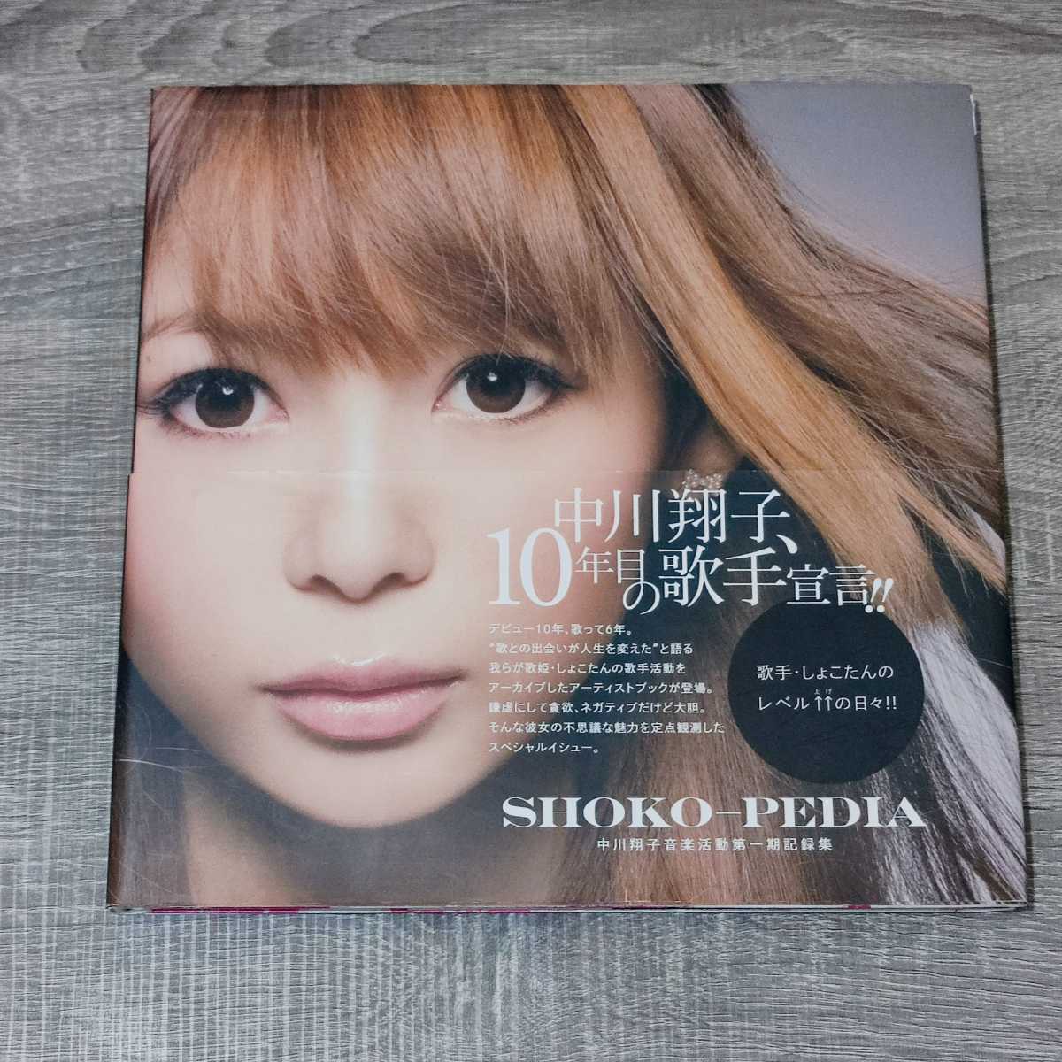 初版 SHOKO-PEDIA 中川翔子音楽活動第一期記録集 新品未開封 初版 SHOKO-PEDIA 中川翔子音楽活動第一期記録集 新品未開封