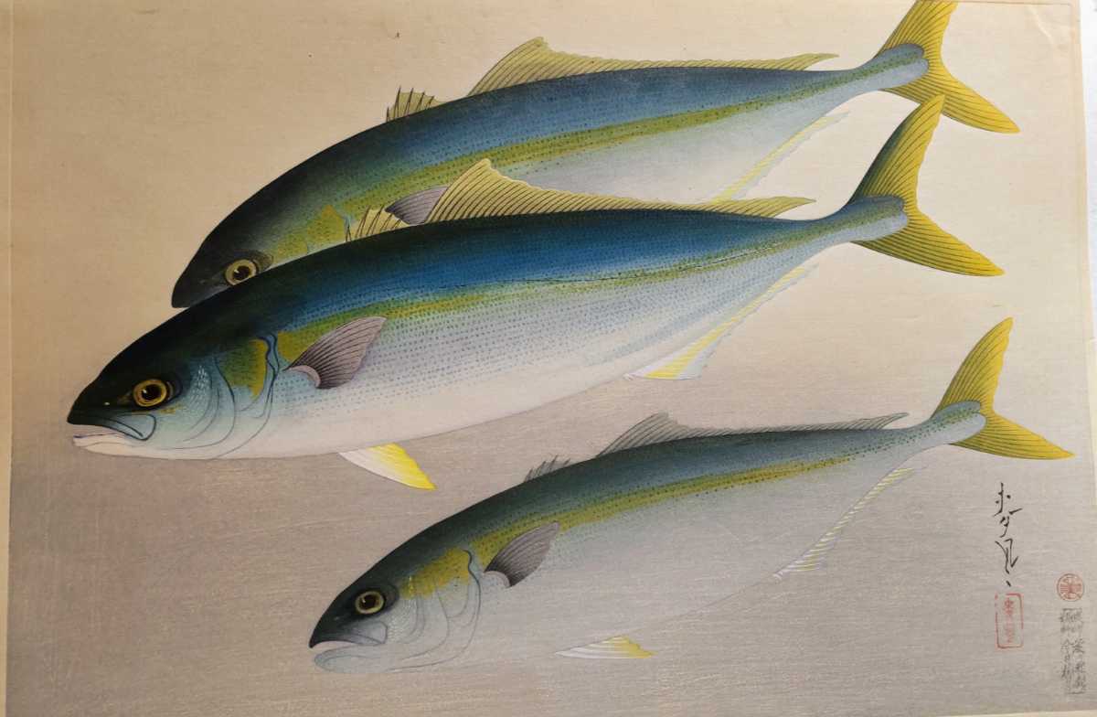 大野麦風木版画 ハマチ 大日本魚類画集 200度手刷り おおの