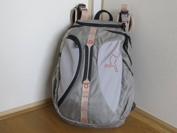 DANA DESIGN West Side デイナデザイン 美中古 廃番 激安(デイパック 