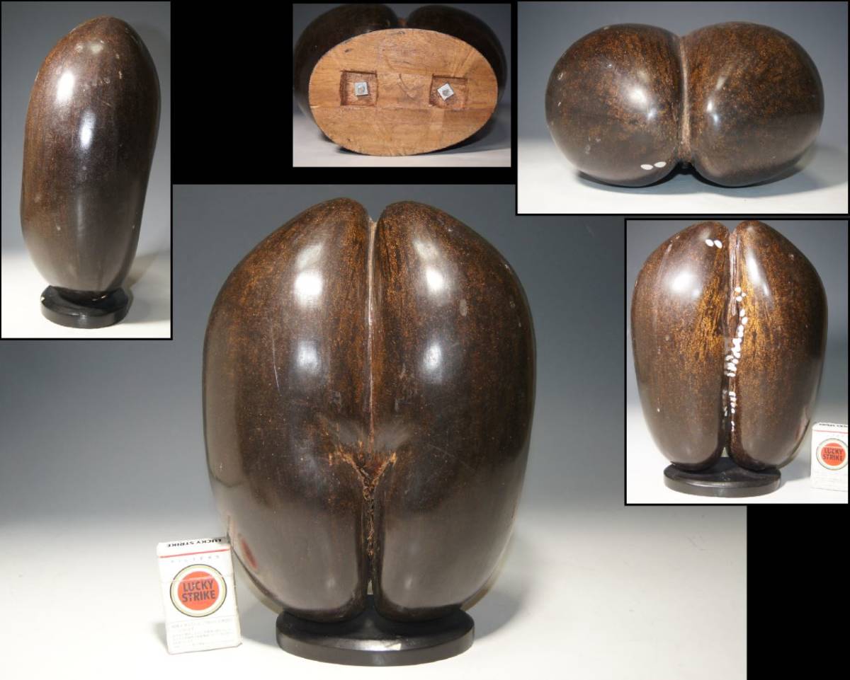 珍品 オオミヤシ (フタゴヤシ） 世界最大の種子 女性のお尻 秘宝 少女