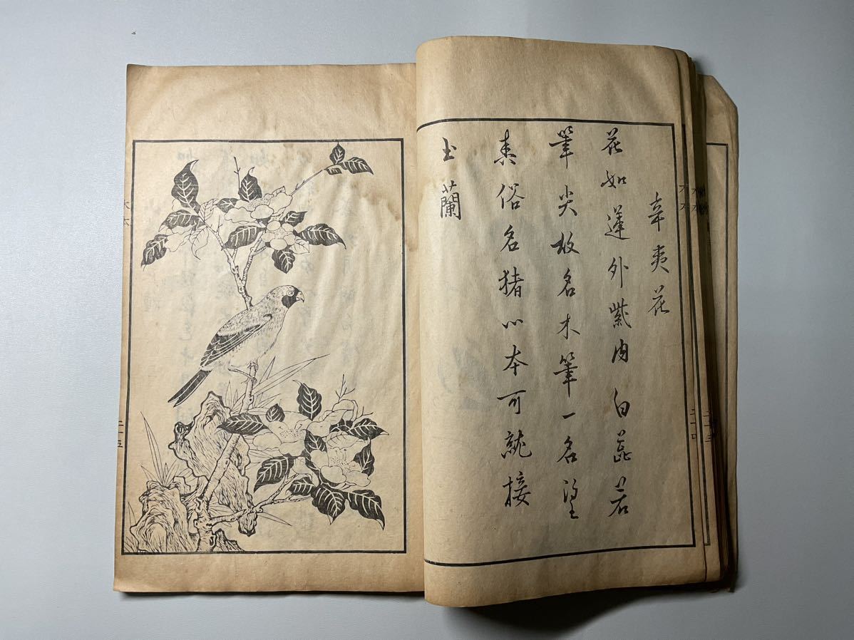 人気，豊富な】 唐本「唐詩画譜 新鑄木本花鳥譜 」1冊