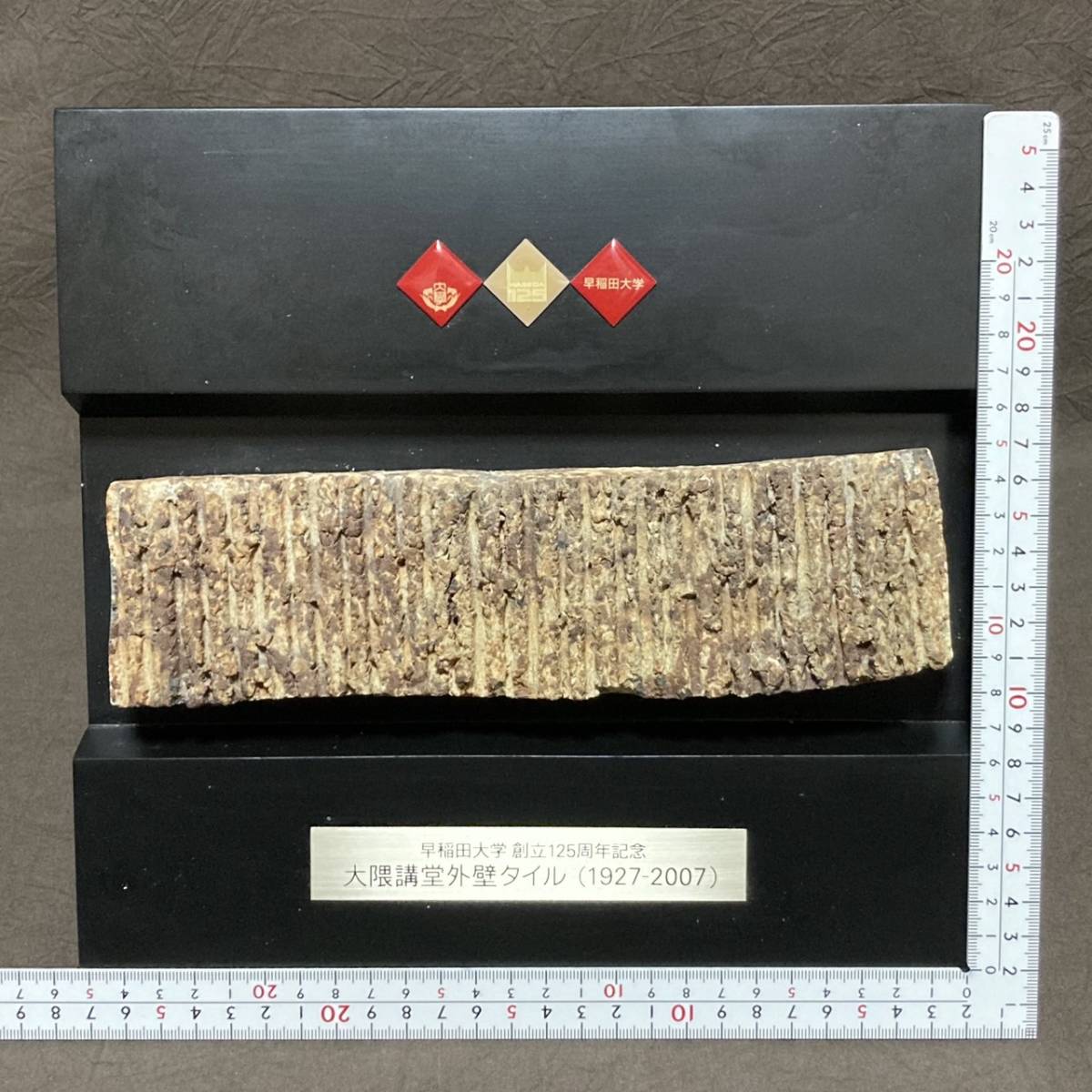 早稲田大学 記念盾 大隈記念講堂 外壁タイル 1927年建設 早稲田大学