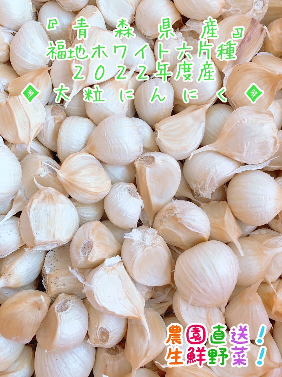 青森県産にんにく 福地ホワイト六片種 2022年度産 ニンニク バラ 
