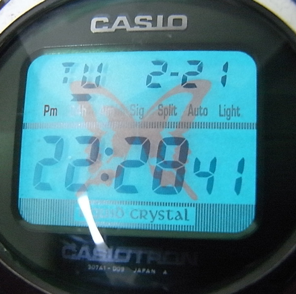 CASIO 復刻版カシオトロン TRN-120 1670 限定? 動作品 (カシオ)｜売買