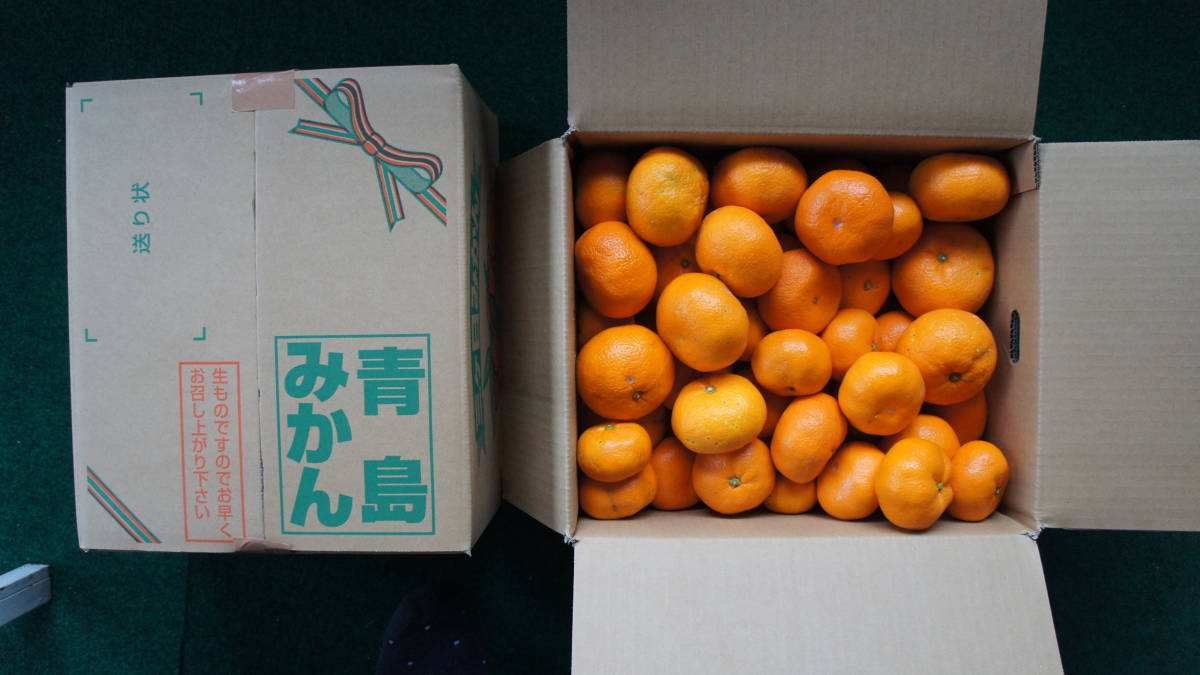 ☆１３三ヶ日青島みかん10キロ訳あり「本州（青森、秋田、岩手を除く）四国」送料無料☆