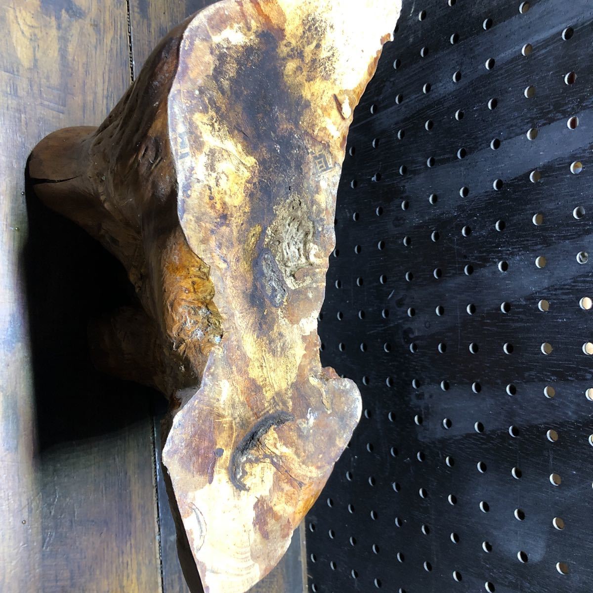 木の根 オブジェ 根っこ インテリア 置物 一点物 天然木 切り株 床の間