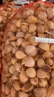 青森県 バラにんにく20Kg ML ③ 福地ホワイト六片ニンニク 【公式通販】