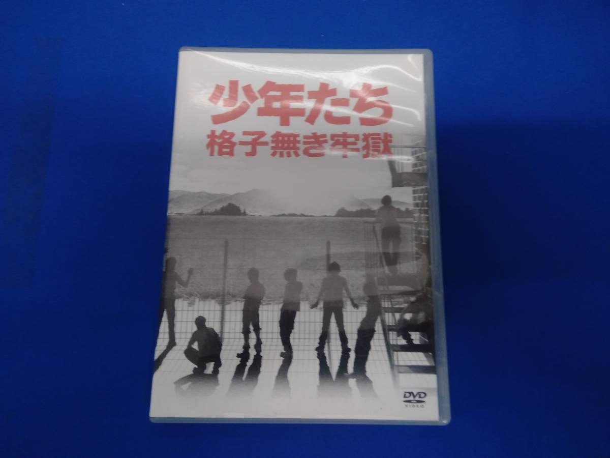 DVD 少年たち 格子無き牢獄