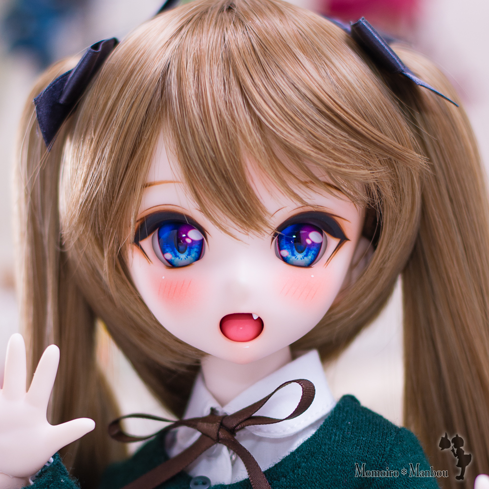 DDH-10 MDD 開口 No.483 「mdd MDDたすく MDD向け DDH-10 開口