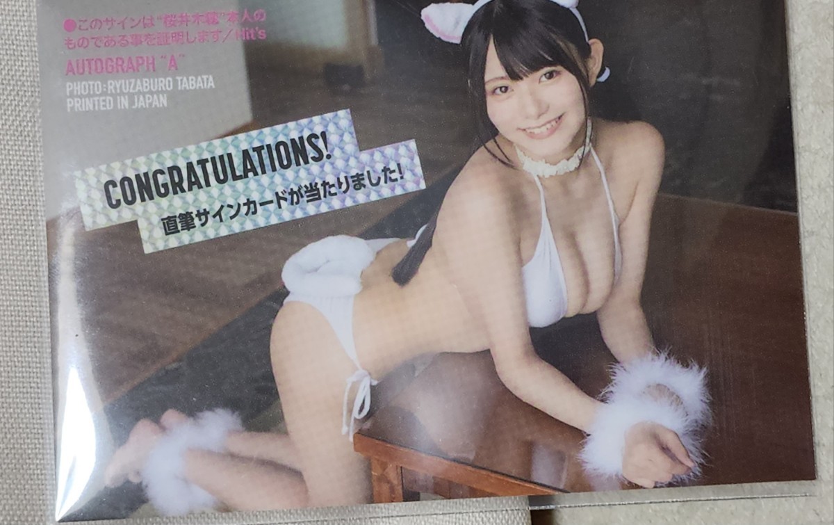 HIT'S/桜井木穂2 Vol.2 水着オフショットチェキ (猫耳×白ビキニ) 現場