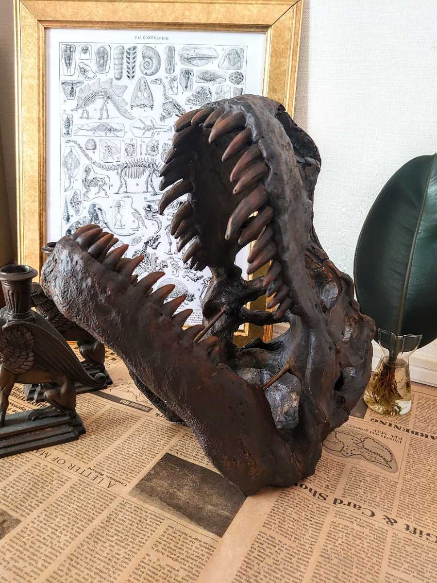 DinoWorld ／ ディノワールド】ティラノサウルス T-REX 恐竜 頭骨 化石