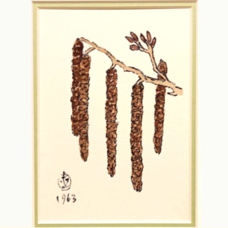 赤字超特価,驚きの破格値,HOT 【真作保証】☆坂本直行☆「白樺」水彩画 八ツサイズ