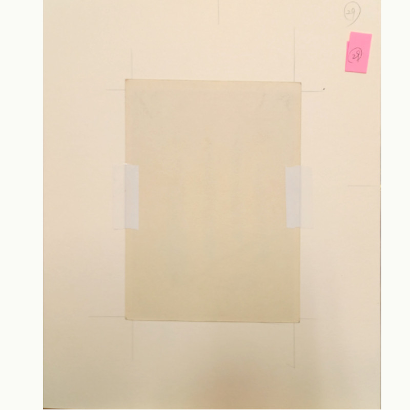 赤字超特価,驚きの破格値,HOT 【真作保証】☆坂本直行☆「白樺」水彩画 八ツサイズ