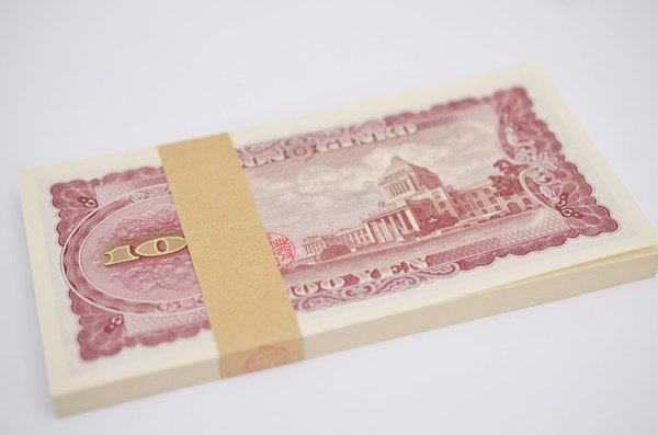 100枚 帯封 ピン札 札束 板垣退助 日本銀行券 百円札 B号 100円 国会