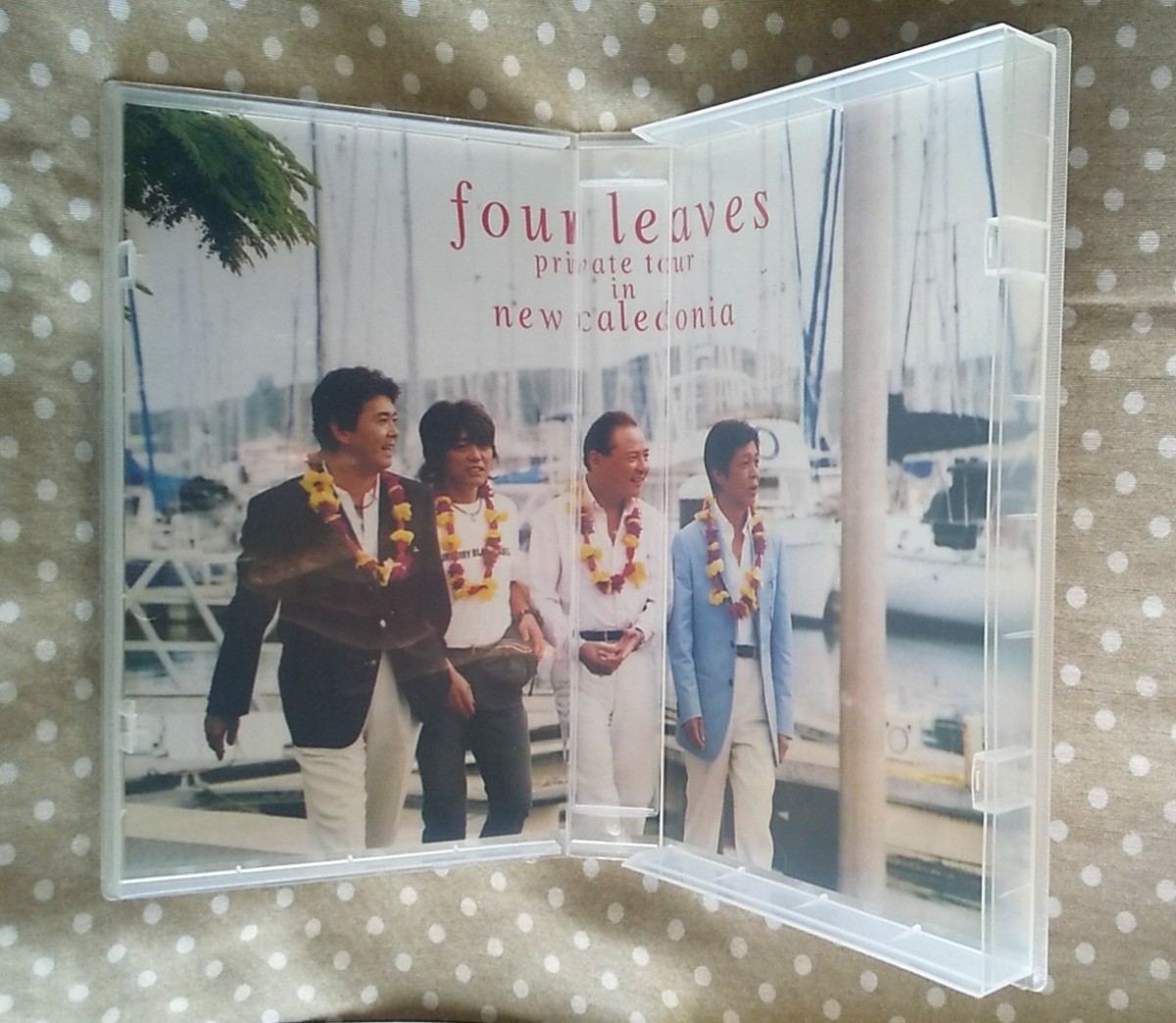 VHS フォーリーブス four leaves private tour in new caledonia ミニ 