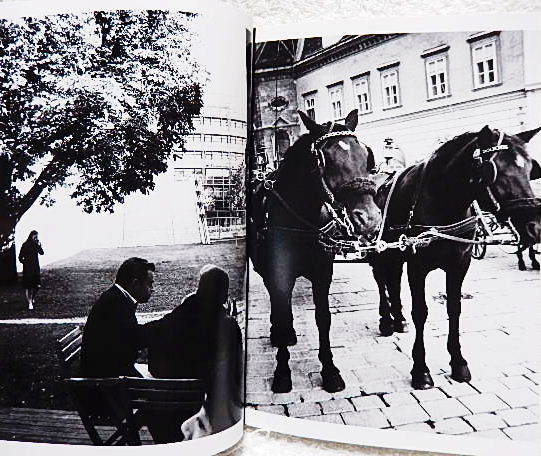 ☆ARAKI IN WIEN 荒木経惟写真集 『コモドン ウィーンへ行く』『東京