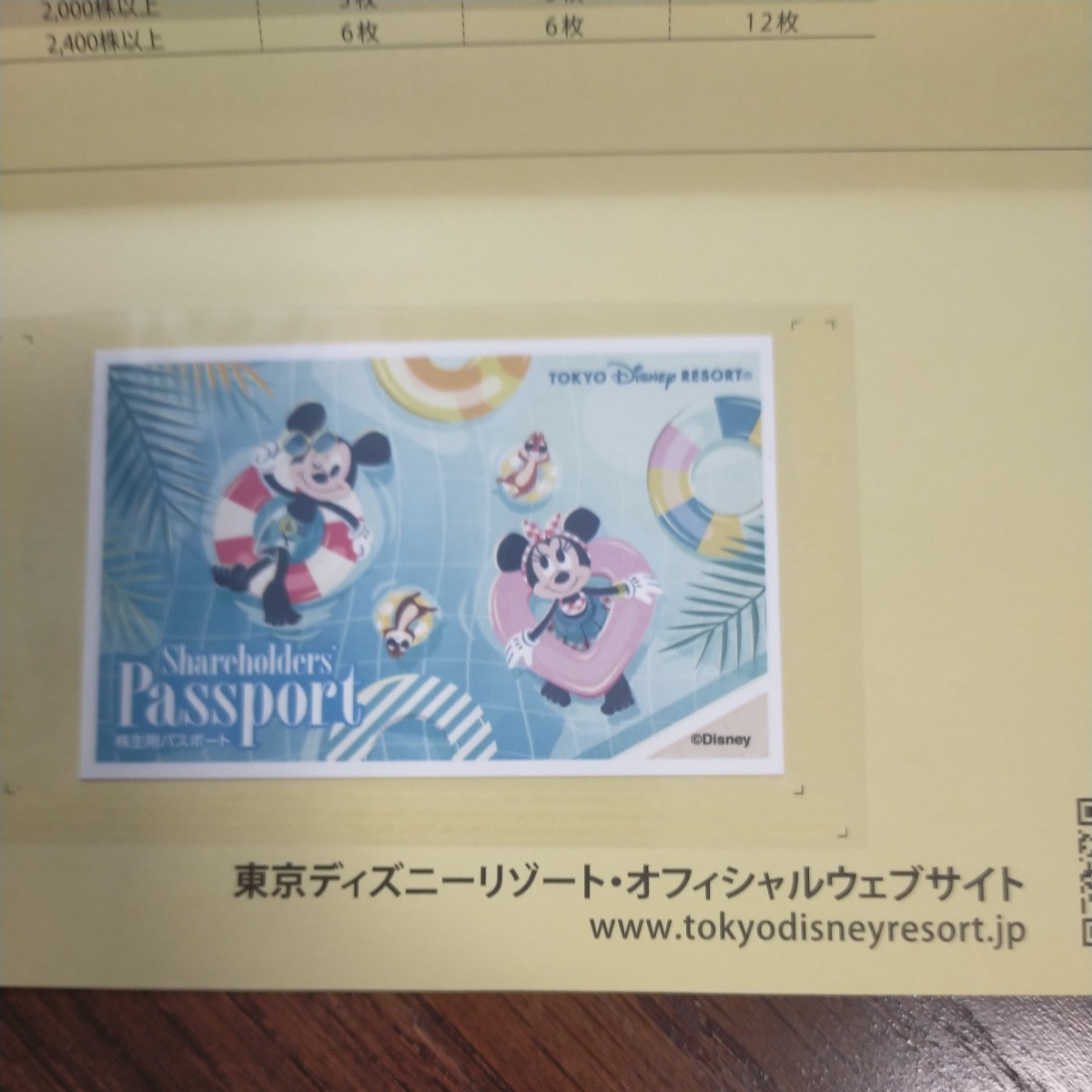 ディズニー　株主優待　1枚　オリエンタルランド