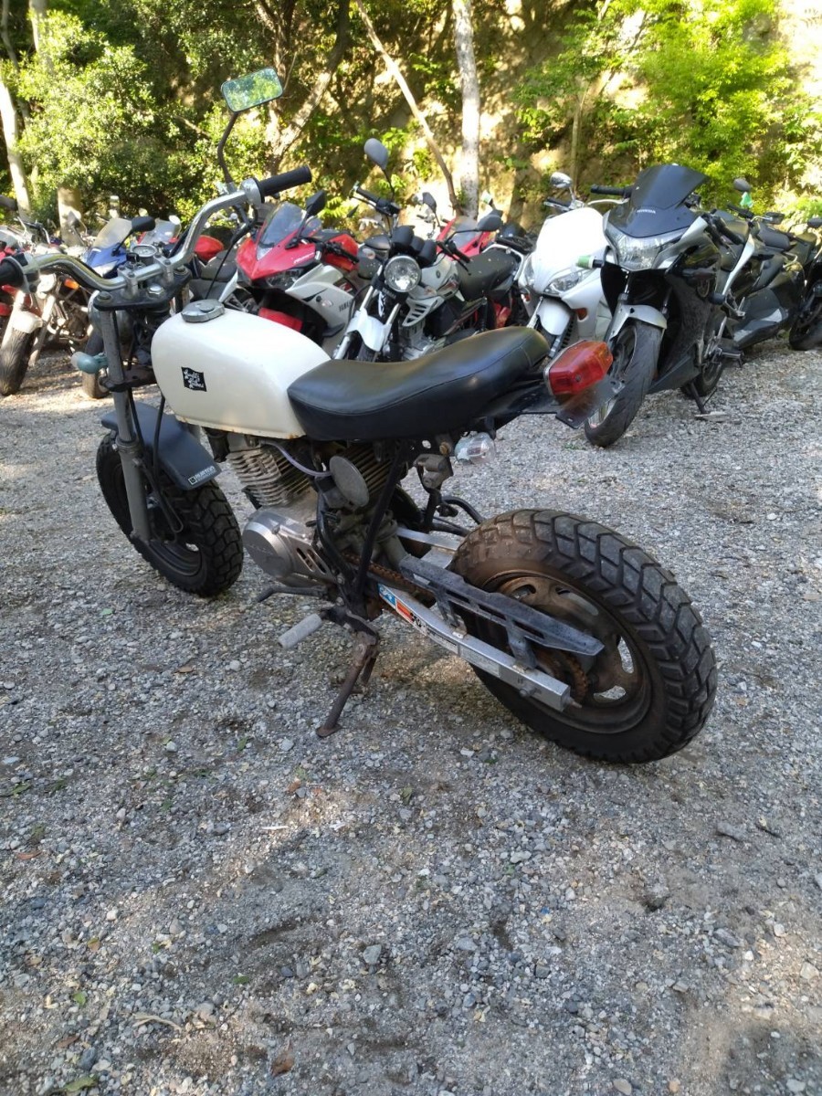 番号8.6 HONDA エイブ50/シロ型式 AC16走行距離 10108km