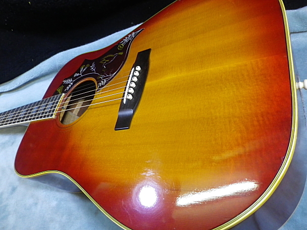 Morales M35 Humming Bird希少ヴィンテージサンバースト 公式通販