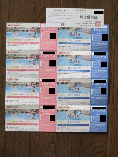 ☆送料無料☆東京都競馬☆東京サマーランド 株主ご招待券 1dayパス 8枚 
