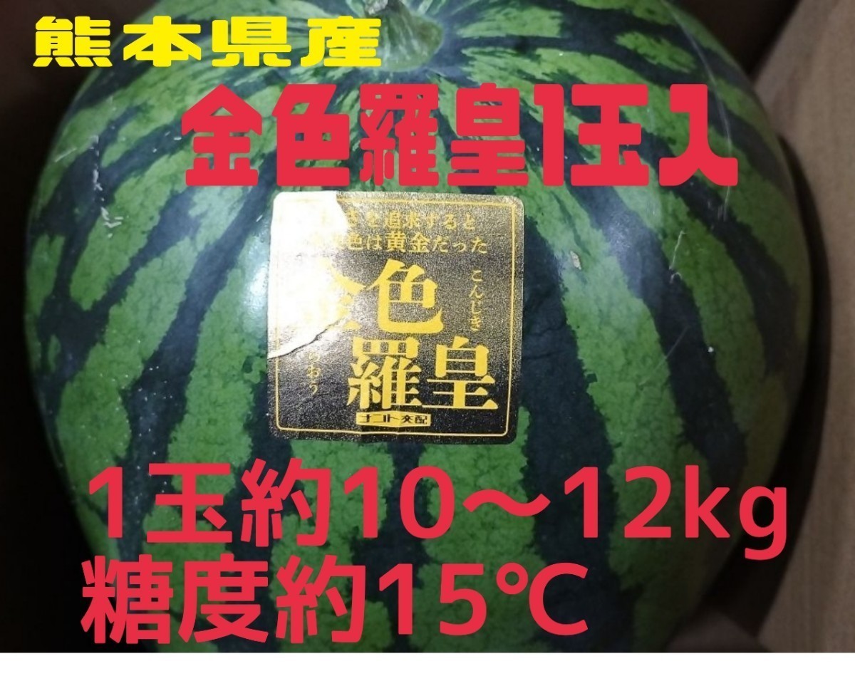 梨嬉ページ 1玉 金色羅皇 スイカ 信州産 特大金色羅皇 BG060令和9