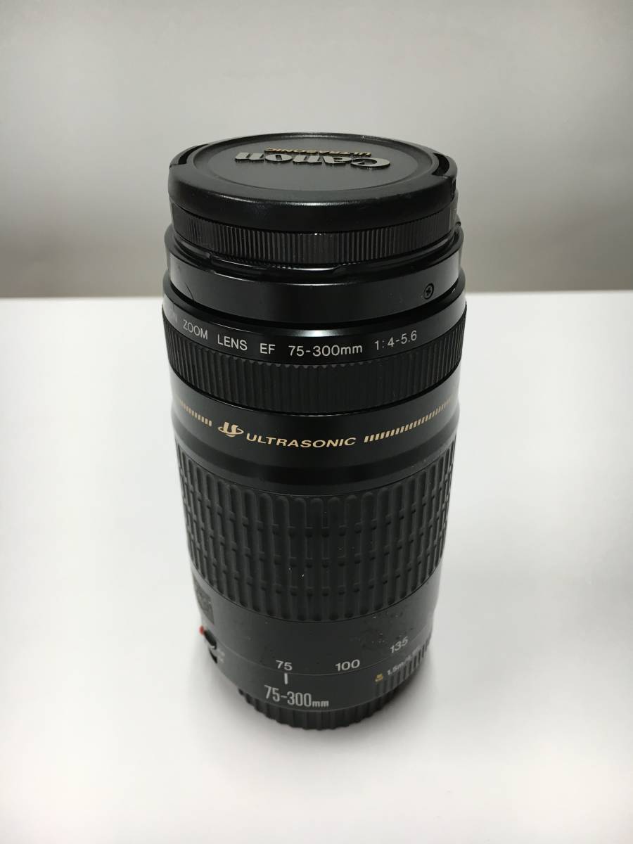 A20349)Canon ZOOM LENS EF 75-300mm 1:4-5.6 ズームレンズ 現状品