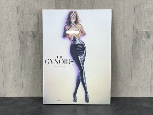 大型イラスト集 作品集 空山基 THE GYNOIDS TREVILLE ガイノイド