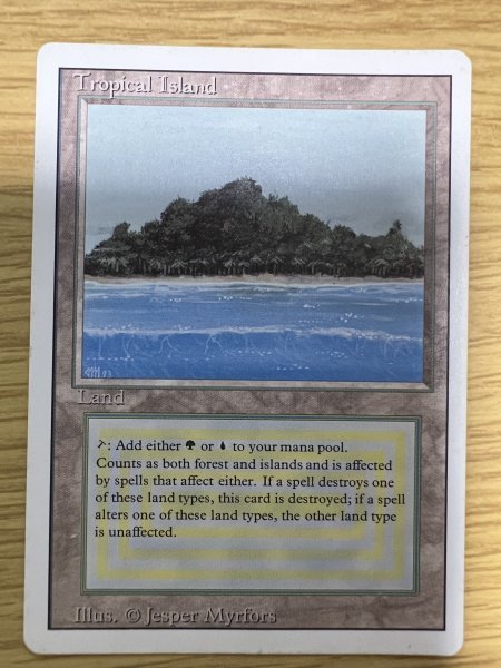 MTG 沸騰する小湖 日本語 MH2 2枚