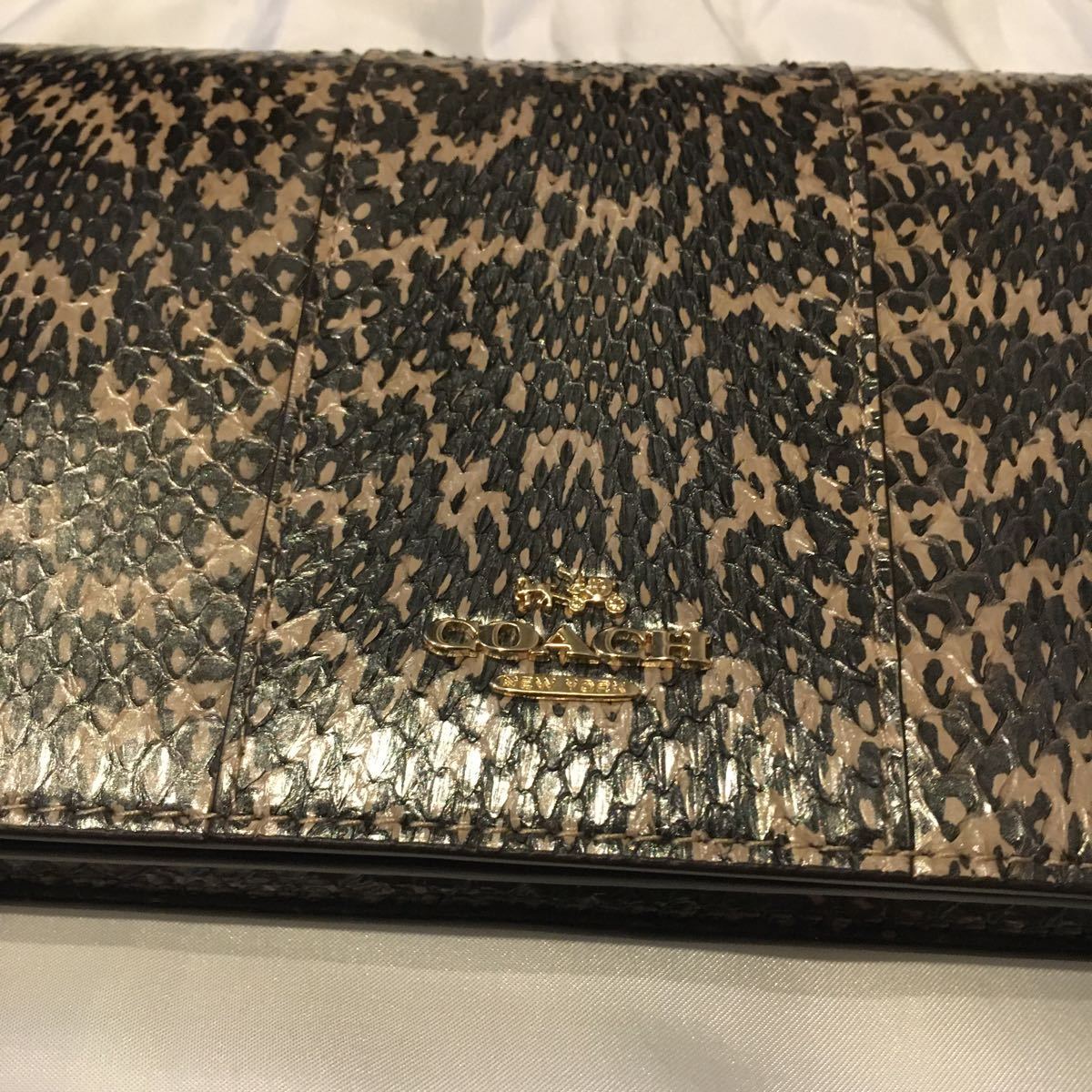 新品未使用 希少 レア COACH コーチ ショルダーウォレット パイソン柄 