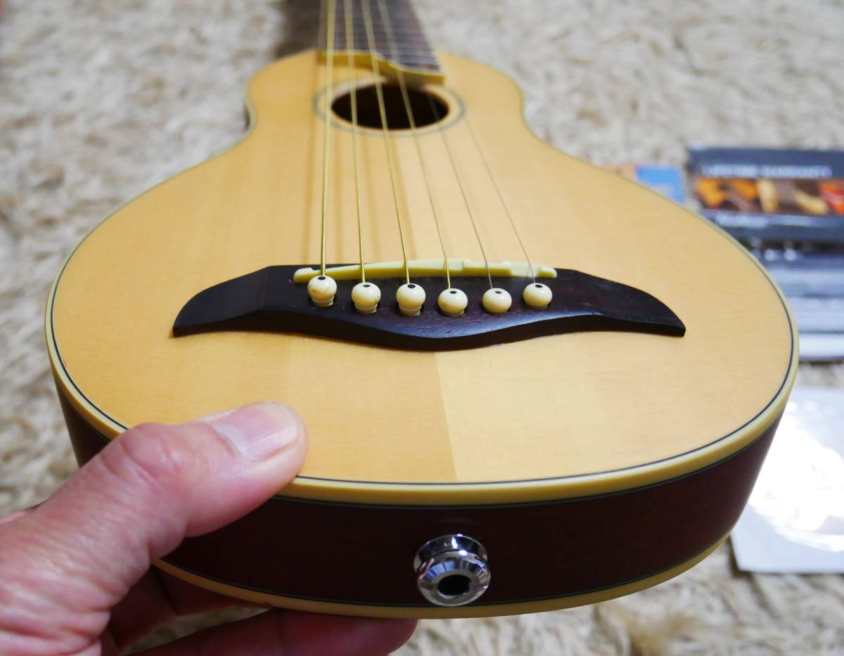 ☆Washburn Rover ワッシュバーン RO10E 6弦アコースティックギター