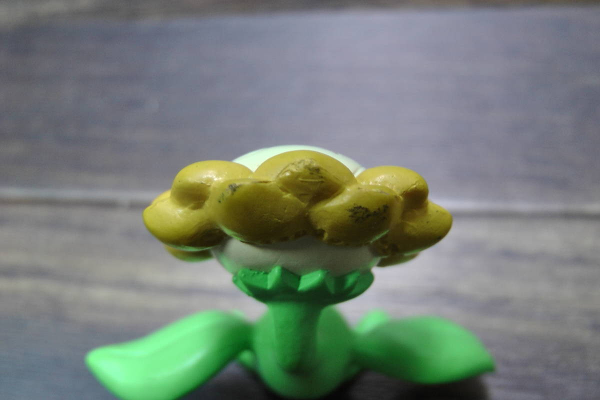 ポケモン モンスターコレクション キマワリ ヒマナッツ モンコレ 