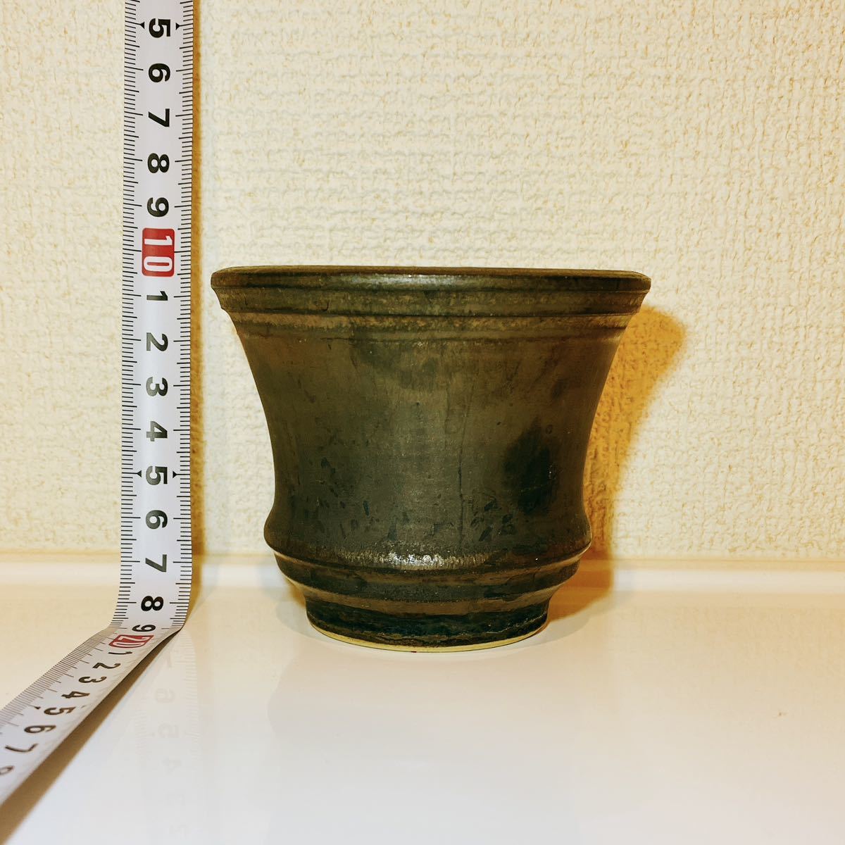 青坊主 デイリーポットaobouzu daily pot/ 植木鉢 陶器鉢 盆栽鉢 塊根 