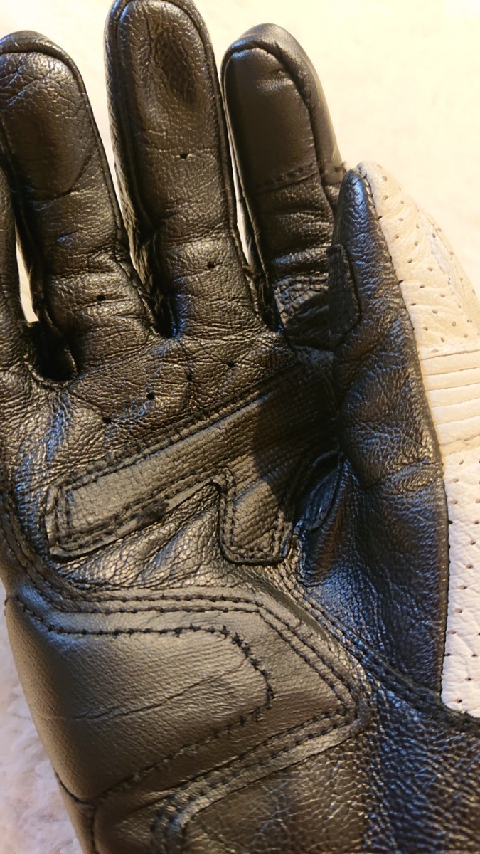 アルパインスターズ レザーグローブ_5