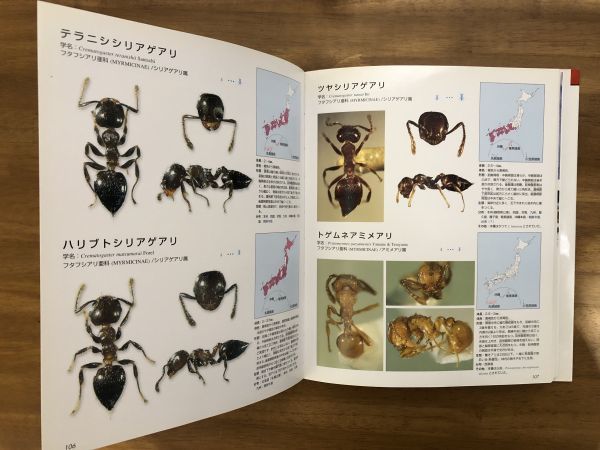 日本産アリ類全種図鑑 学研の大図鑑 DISC み 蟻 Gakken Ants of Japan