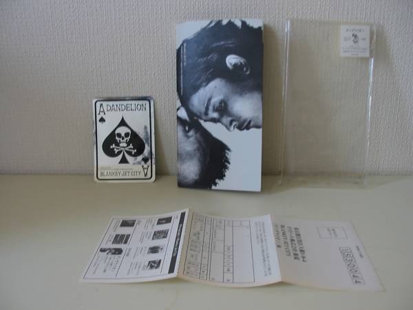 ステッカー付 ダンデライオン ブランキー ジェット シティ Blankey Jet City 売買されたオークション情報 Yahooの商品情報をアーカイブ公開 オークファン Aucfan Com