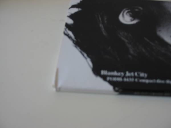 ステッカー付 ダンデライオン ブランキー ジェット シティ Blankey Jet City 売買されたオークション情報 Yahooの商品情報をアーカイブ公開 オークファン Aucfan Com