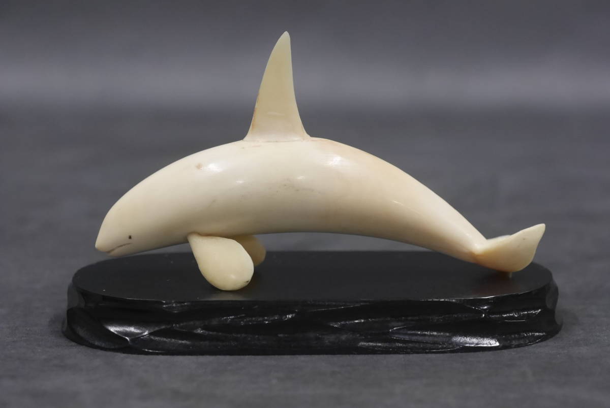 20 マッコウクジラの歯 抹香鯨歯 イルカ彫刻 共箱付(東洋彫刻)｜売買