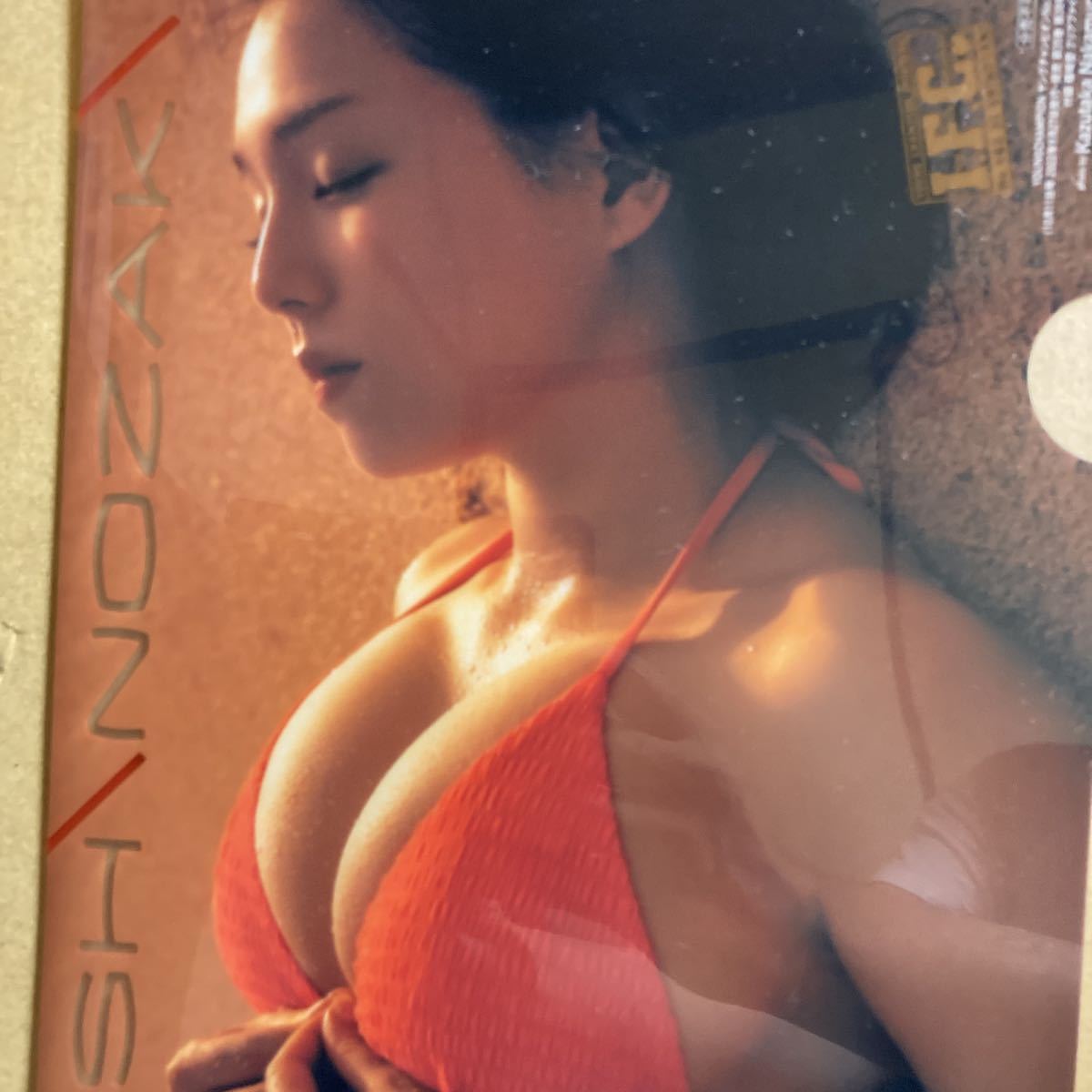 篠崎愛 クリアファイル 6枚 ポスター1枚 グラビアレジェンド 巨乳 他
