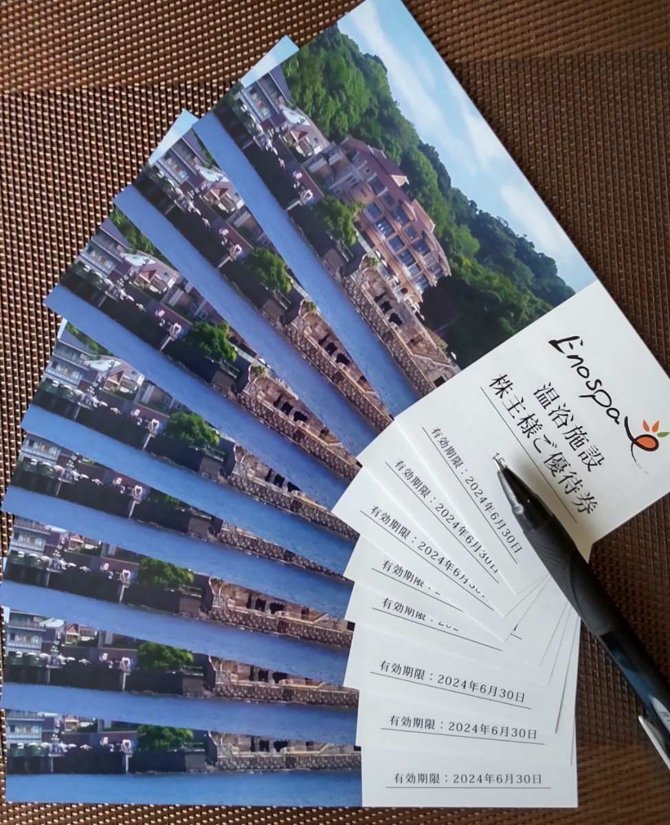 飯田グループ 株主優待 江の島アイランドスパ 優待券・8枚セット