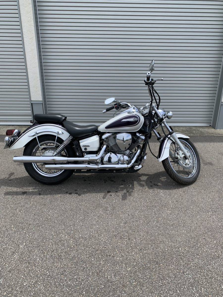 ドラッグスター　人気のパール