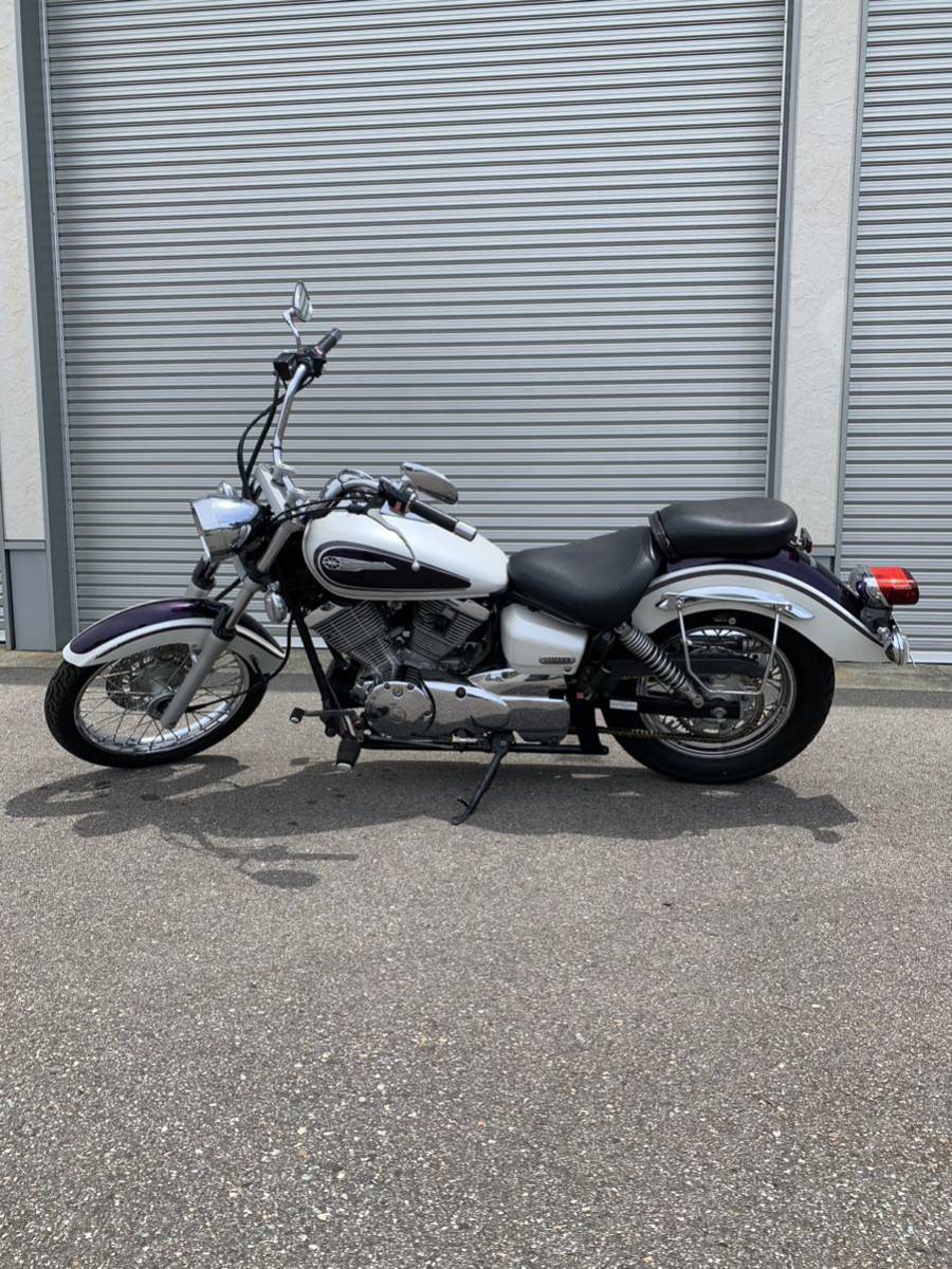 ドラッグスター　人気のパール