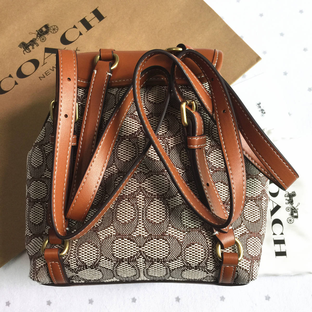 COACH /リア バックパック21 【CH591】 美品 新品未使用】COACH コーチバッグ CH591 リア バックパック 21