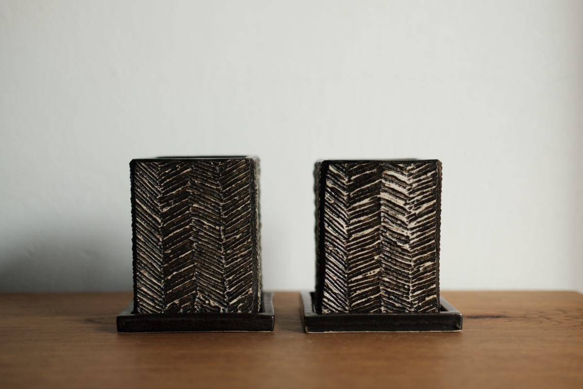 田中元将 大サイズ パキプス グラキリス 塊根植物 山中勇人 細川政己