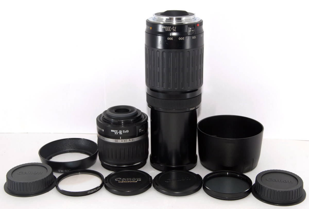 Canon キヤノン CANON EOS 60D 純正 手ブレ補正 Wレンズ EOS 60D 一眼