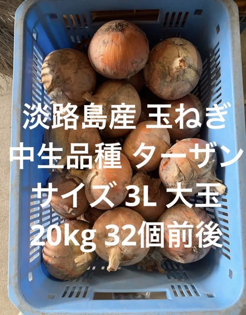 兵庫県 淡路島産 玉ねぎ 3L 大玉 20kg 中生品種 ターザン 淡路島 淡路