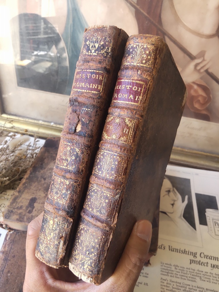 フランス アンティーク 洋書 18,19世紀