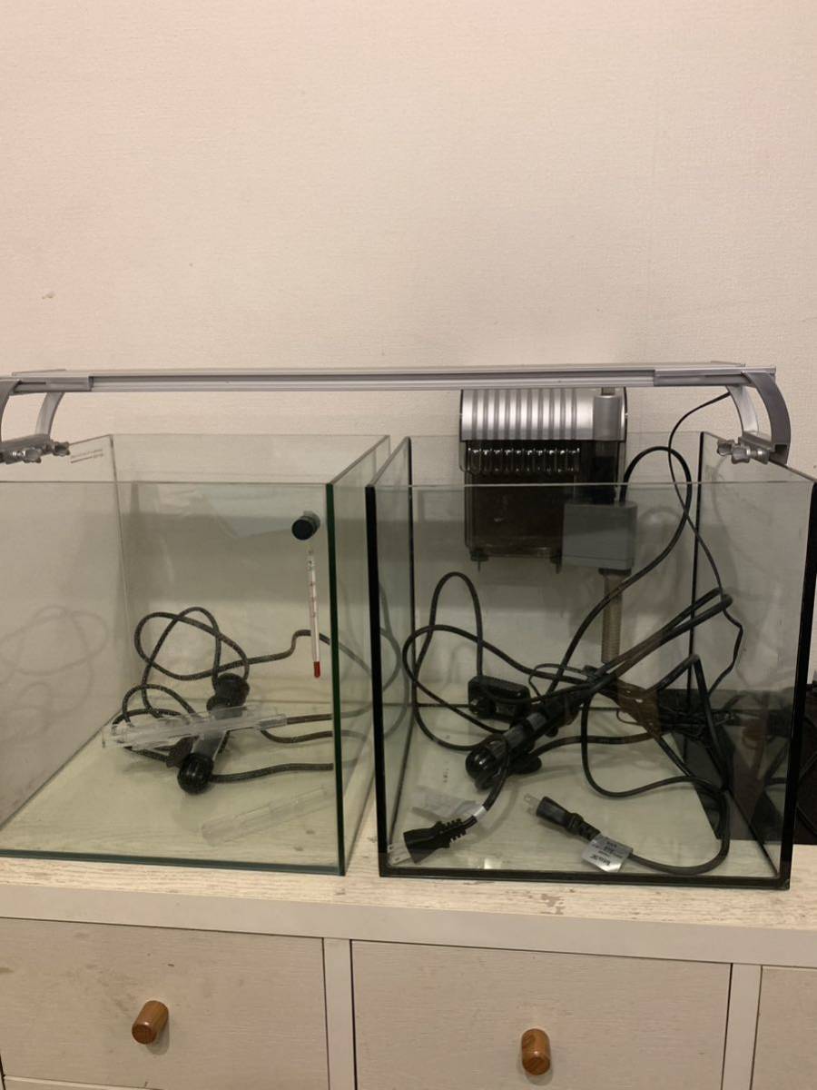 く*ぅ様 ADA Do!aqua キューブグラス 廃盤＊本当にレアADA Do!aqua